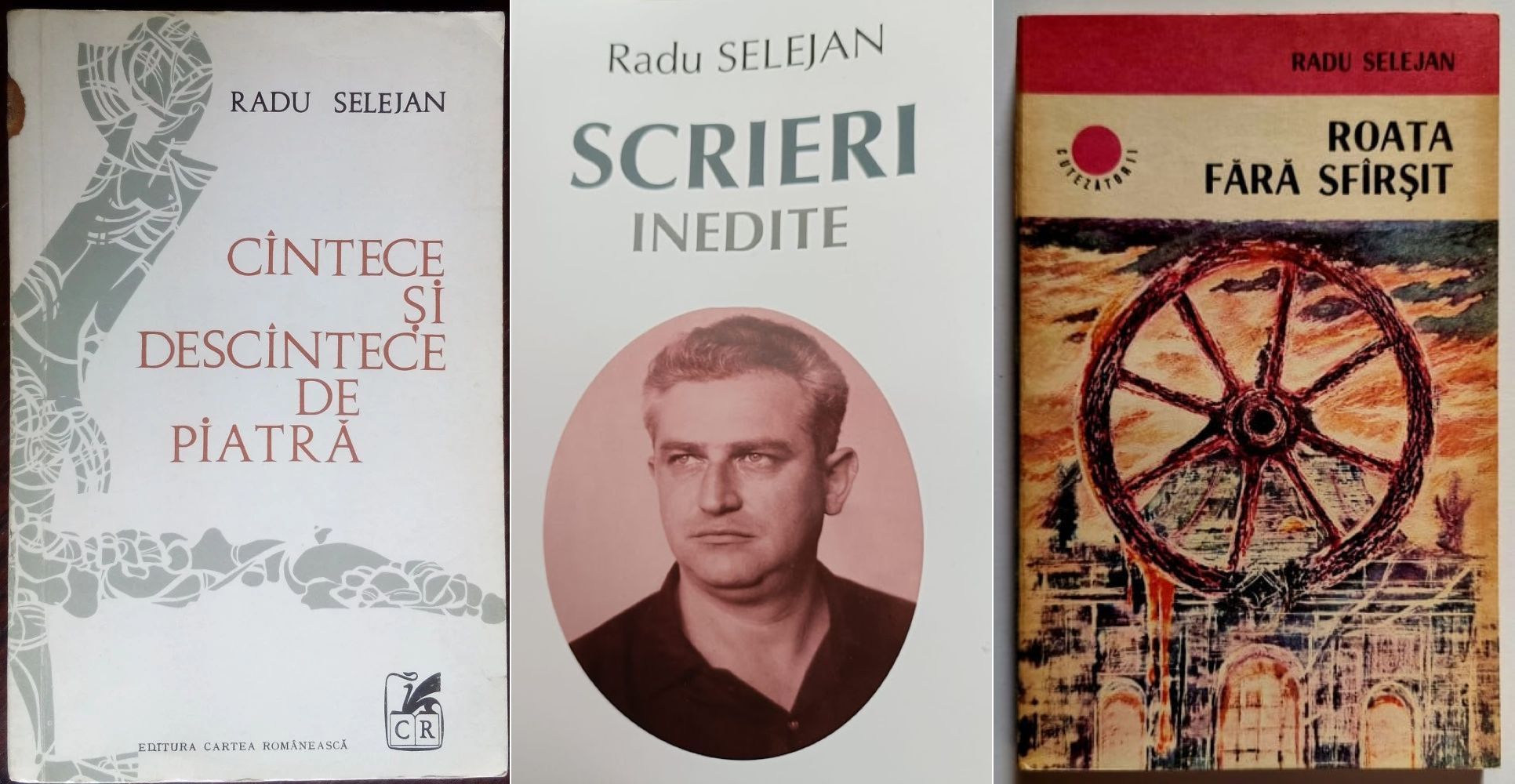Radu Selejan în prim plan, un portret care îl surprinde autorul la o vârstă mai tânără, cu o privire profundă