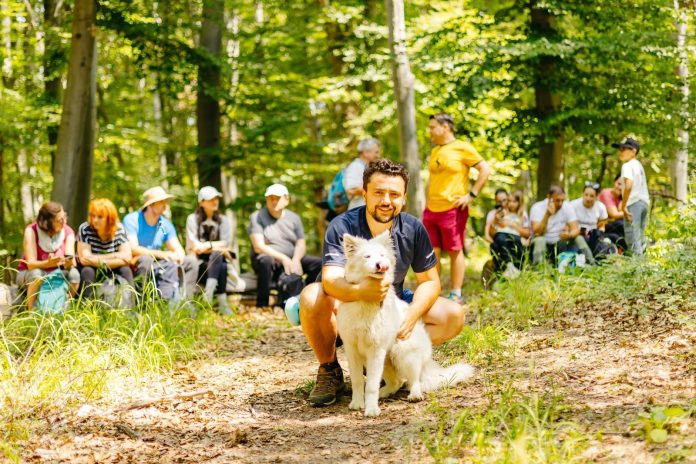 Cățelușa Hopihe pe un traseu de drumeție prin pădure în apropiere de Sibiu.
