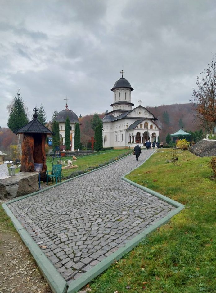 Vedere panoramică a Mănăstirii Cârțișoara încadrată de păduri și munții Făgăraș