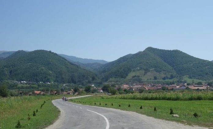 Primăria Turnu Roșu face față presiunii unui exploatator privat pentru pădurea locală