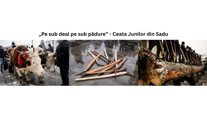 Junii din Sadu la ritualul Adusul fagului, mergând pe sub deal și pădure