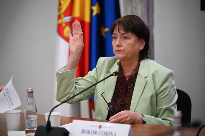 Corina Bokor, consilier PSD Sibiu, propunătoare Centrului de Participare Civică