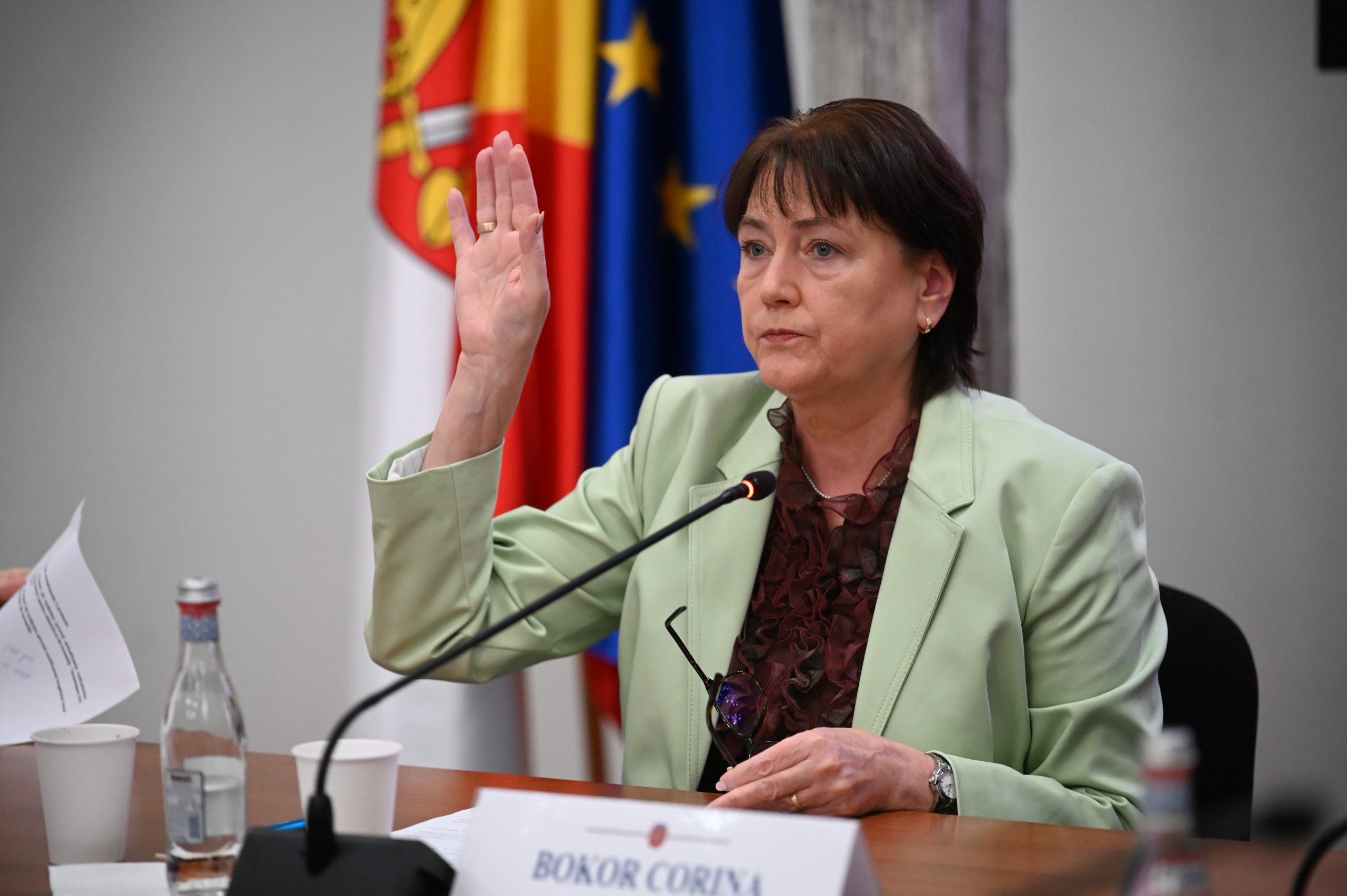 Corina Bokor, consilier PSD Sibiu, propunătoare Centrului de Participare Civică