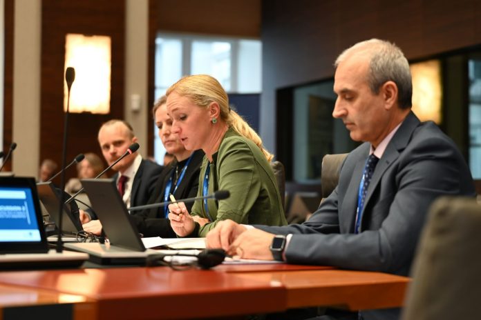 Alin Bodescu ESDC prezentând în cadrul Colegiului European de Securitate și Apărare din Bruxelles