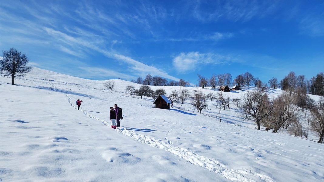 WhatsApp Image 2026-01-21 at 13.52.35