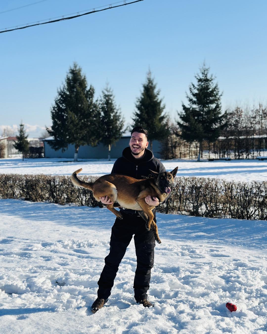 Câine antrenat executând un exercițiu de agilitate la Centrul Chinologic Sibiu