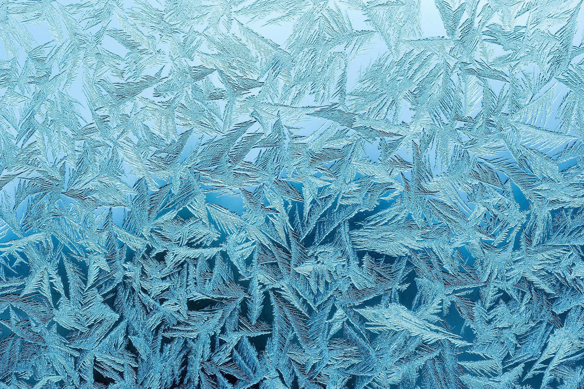 Polei și gheață pe crengi după ger puternic, Cod Galben Sibiu pentru temperaturi extreme