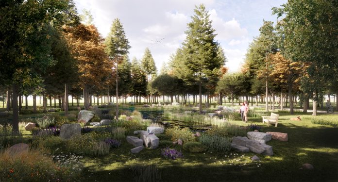 Lacul și peisajul natural din Parcul Sub Arini, beneficii ale revitalizării