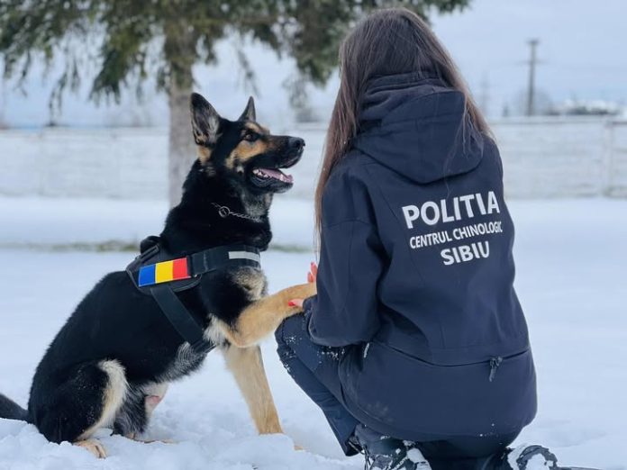 Câini și dresori de la Centrul Chinologic Sibiu sărbătoresc Ziua Internațională a cuvântului Mulțumesc