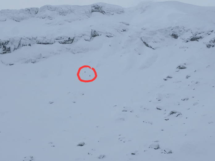 Avalanșă de mari dimensiuni lângă Bâlea Lac, declanșată de doi schiori.