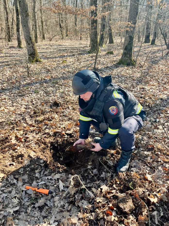 Vedere panoramică a zonei de intervenție ISU Sibiu în pădurea din Șelimbăr