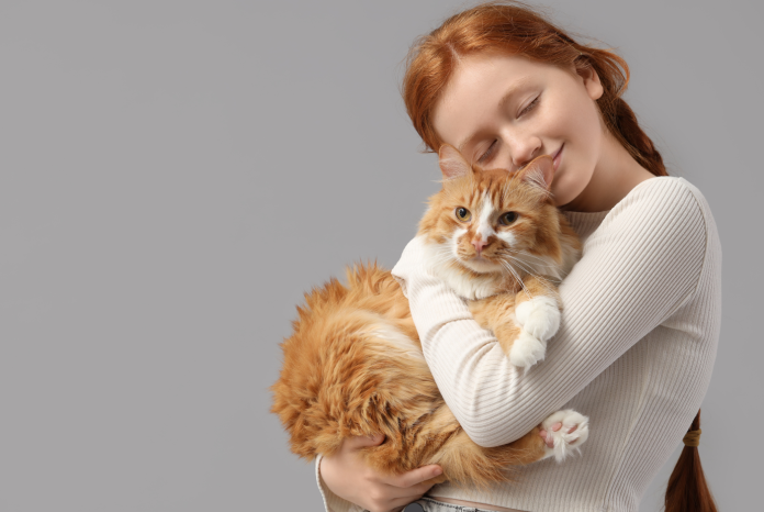 Banner pentru eveniment cu oferte de hrană umedă pisici premium de la PetMax