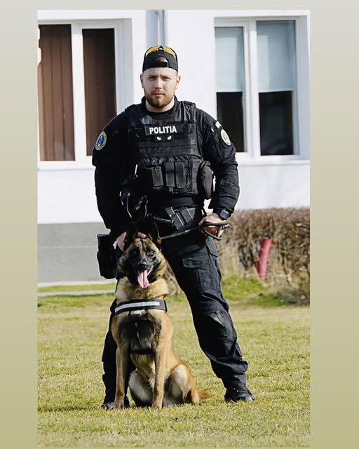 Câini dresați la Centrul Chinologic Sibiu pentru sărbătoarea de Dragobete