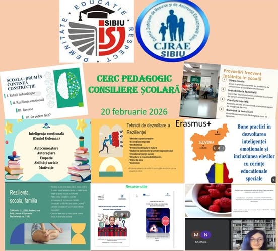 Consilieri școlari CJRAE Sibiu la prima reuniție a Cercului Pedagogic de consiliere școlară