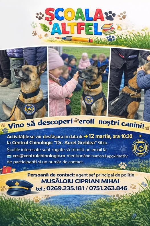 Elevi vizitând și interacționând cu câinii la Centrul Chinologic Sibiu