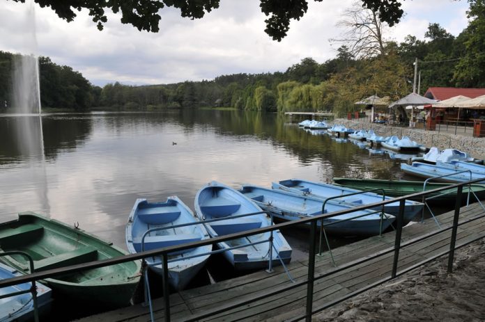 zoo sibiu lac Lacul din parcul Zoo Sibiu, obiect al unei licitații pentru agrement