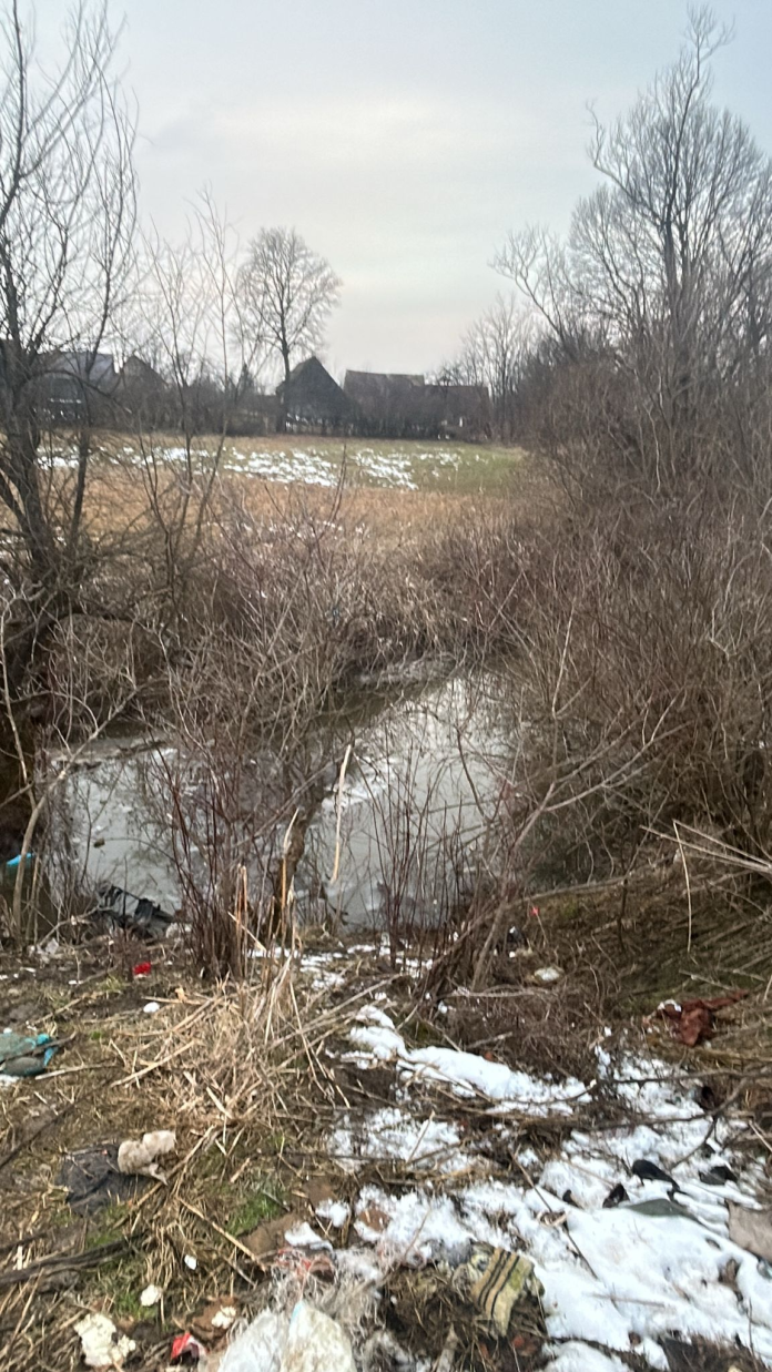 Baraj de castori construit pe pârâul din satul Chirpăr, subiect de dezbatere între protecția castorilor și necesități administrative