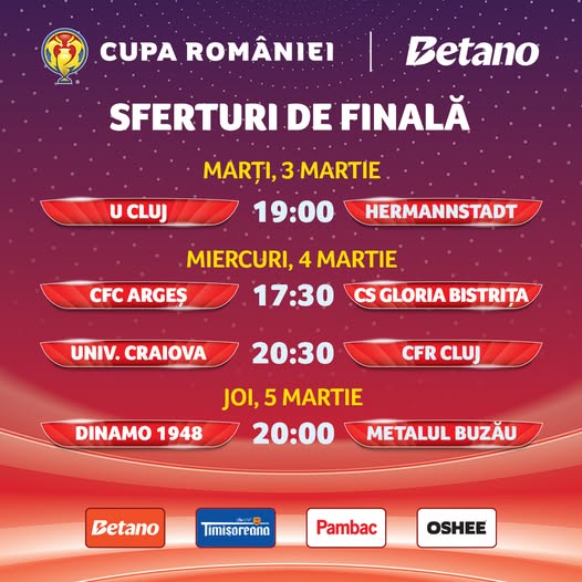 herm Echipa FC Hermannstadt pregătită pentru meciul din sferturile Cupei României.