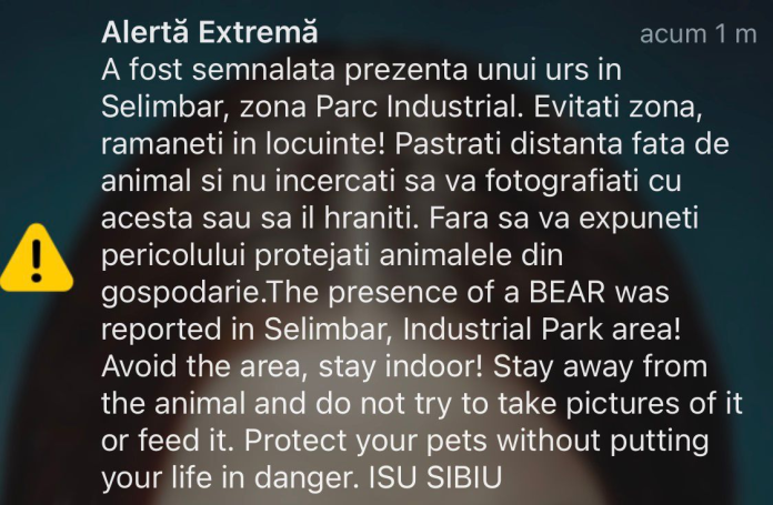 Urs brun care păștește pe un câmp în apropiere de Șelimbăr, după alerta RO-Alert.