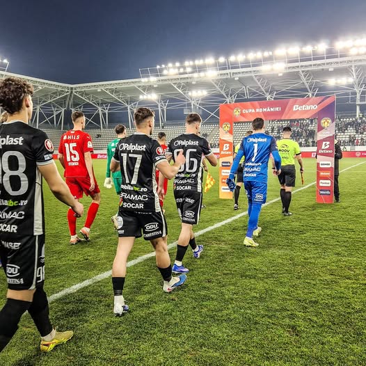 hermannstadt FC Hermannstadt în meciul de fotbal contra Dinamo București