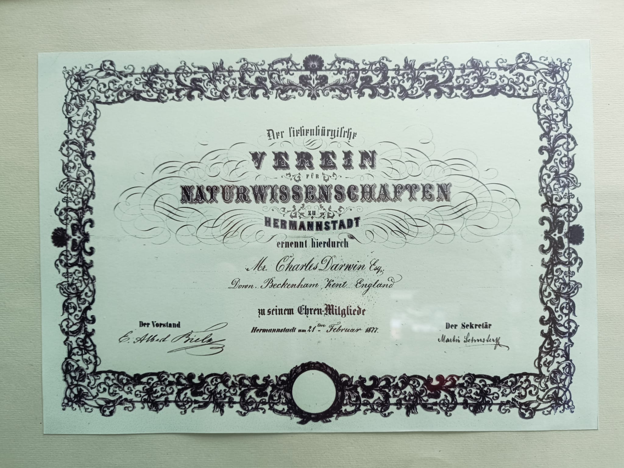 Carte sau manuscris legat de Darwin în colecțiile Muzeului Brukenthal din Sibiul