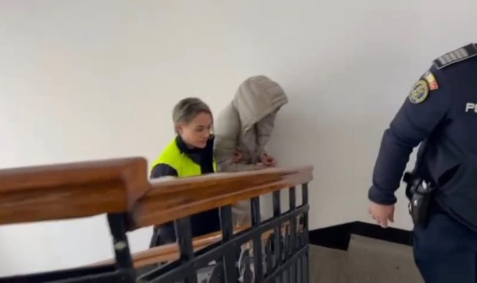 Adriana Viliginschi arest preventiv, poza de profil din dosarul de presă