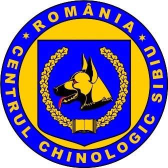 388 Centrul Chinologic Sibiu - absolvenți și căței la un eveniment de graduare