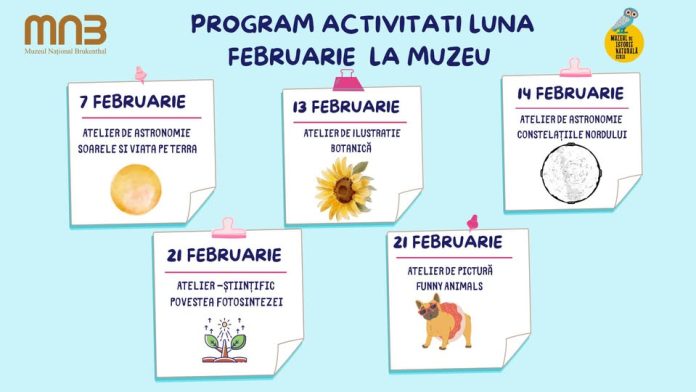 Copii participă la ateliere educaționale Sibiu de ilustrație botanică la Muzeul de Istorie Naturală
