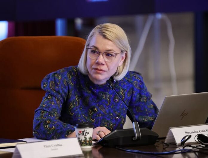 Senatoarea Ruxandra Cibu Deaconu, proiect Centru Respiro Sibiu pentru copii cu dizabilități