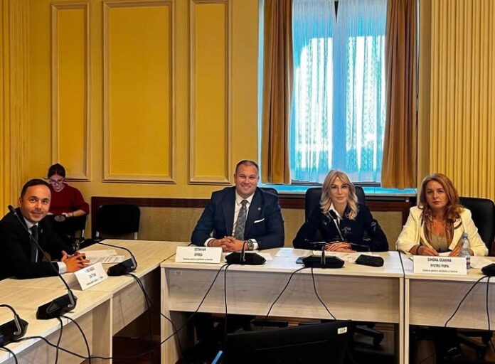 Sprijin pentru părinții copiilor cu autism într-o ședință de comisie parlamentară