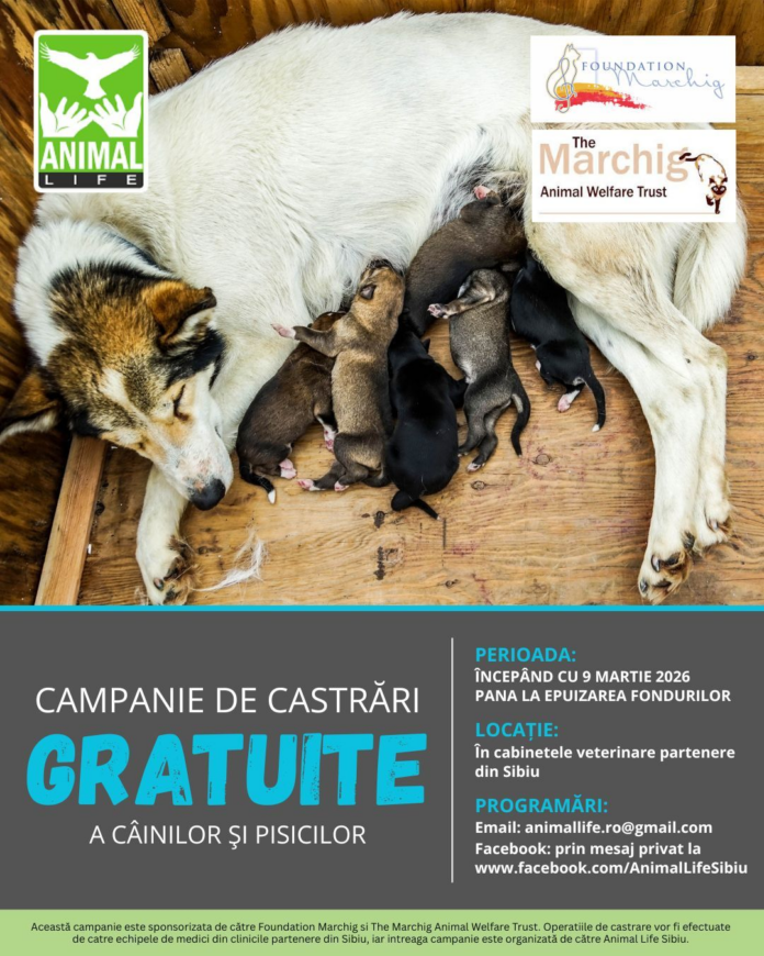 Animal Life Sibiu lansează o nouă campanie de sterilizări gratuite pentru animalele fără stăpân.