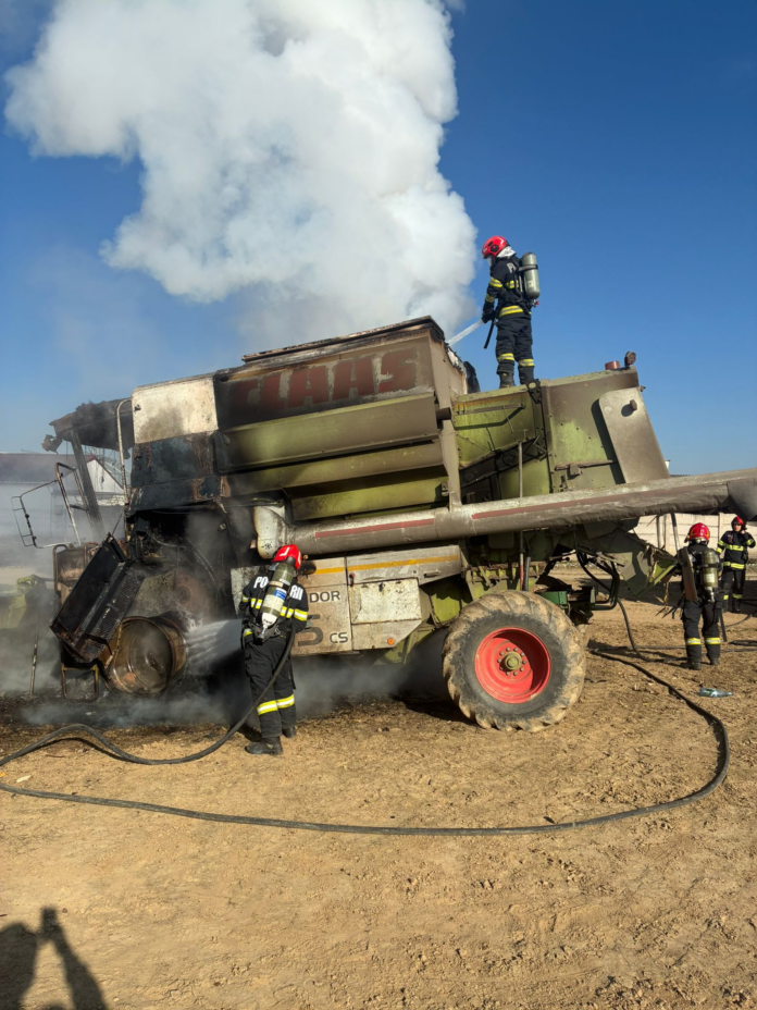 Pepinieră agricolă mistuită de un incendiu, cu resturi carbonizate și fum