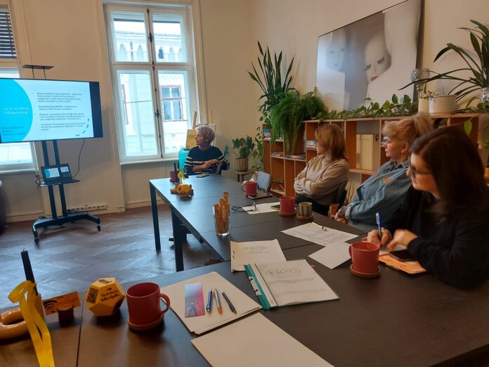 Sala de conferințe plină cu profesioniști din domeniul protecției copilului în Sibiu.