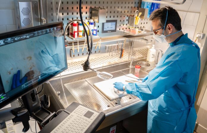 1004 Preparate histologice și echipament de analiză în laboratorul din Sibiu