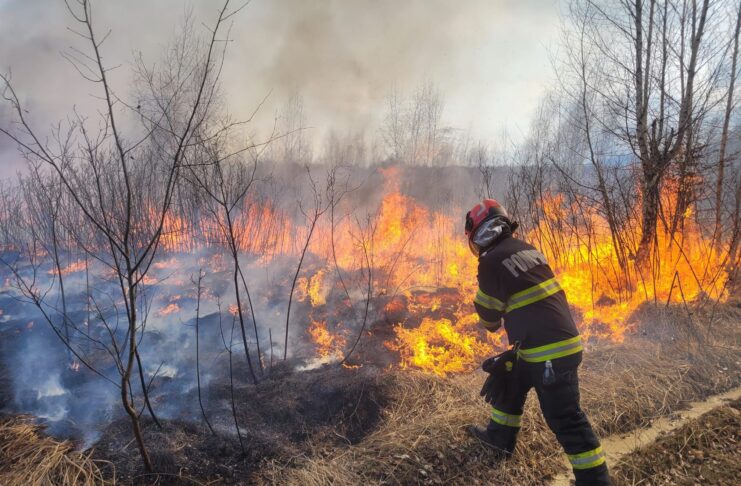 Pompierii sibieni luptă cu un incendiu de vegetație uscată la Porumbacu de Sus. Flăcările se apropie de pădure și de mai multe cabane