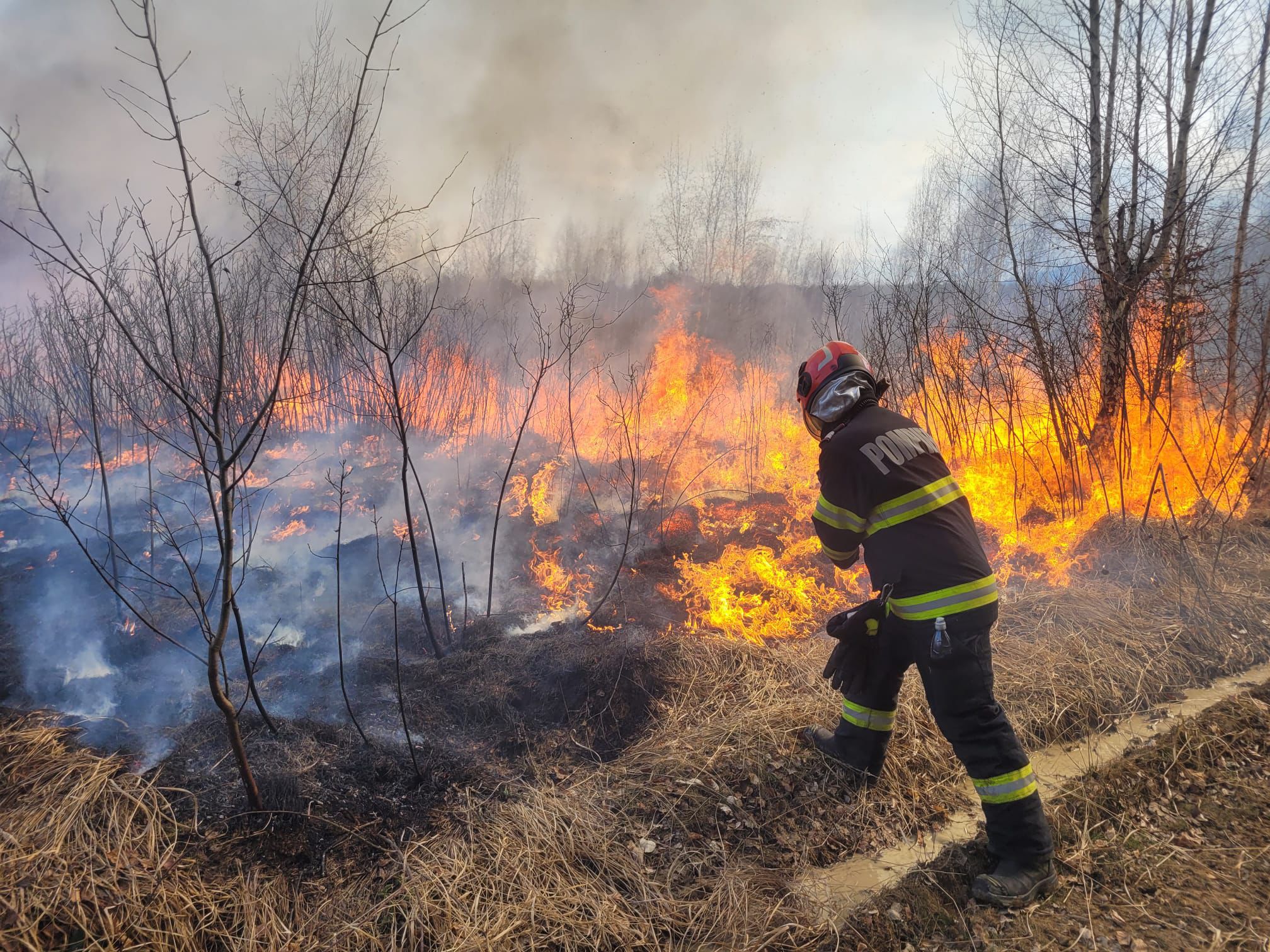 Flăcări și fum dens de la incendiu în zona Porumbacu de Sus, cu cabane în apropiere.