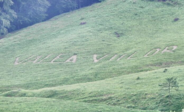 Panouri solare ale noului parc fotovoltaic Valea Viilor, cu câmp în fundal