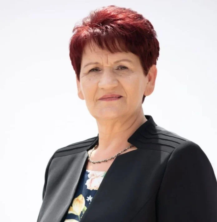 Conducte de gaz metan montate pentru satul Buzd, lucrări de infrastructură