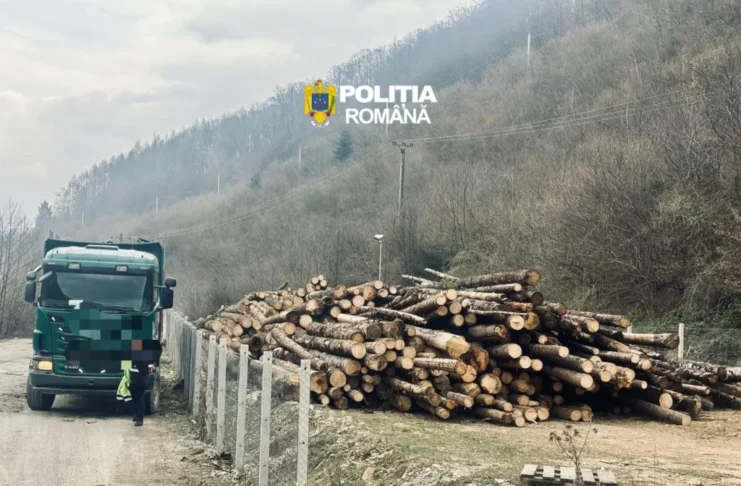 Razie de amploare în județul Sibiu: Peste 180 mc de material lemnos confiscat de polițiștii!