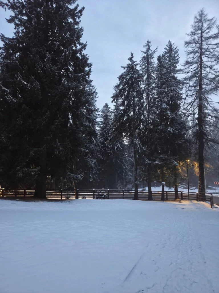 Ninsoare la Păltiniș la final de martie. S-a așternut strat de zăpadă