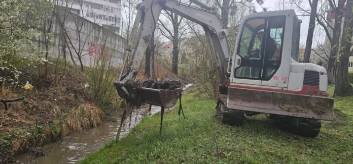 Curs de apă împădurit înainte de intervenția de decolmatare din municipiul Sibiu