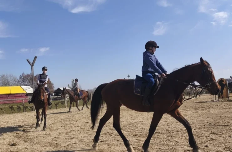 VIDEO Din dragoste pentru cai și oameni: Povestea familiei Matieș și a micilor călăreți de la Hermannstadt Mountain Horses!