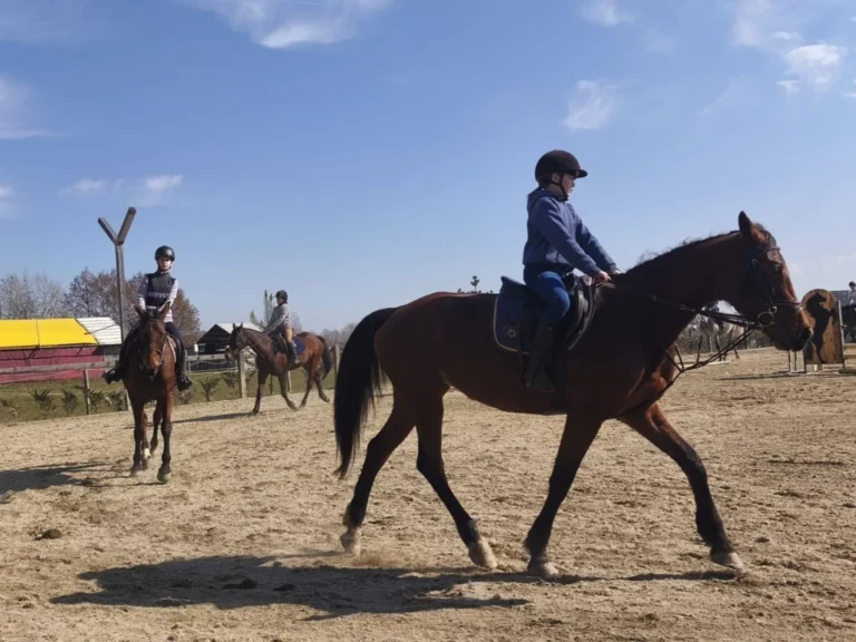 VIDEO Din dragoste pentru cai și oameni: Povestea familiei Matieș și a micilor călăreți de la Hermannstadt Mountain Horses!