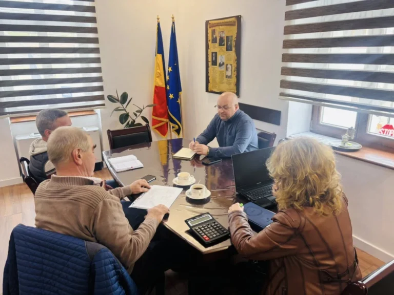 Consultări publice pentru bugetul comunei Sadu pe 2026. Priorități: lemnul de foc, drumurile forestiere și protecția pădurilor