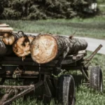 Condamnat pentru ultraj contra unor angajați silvici