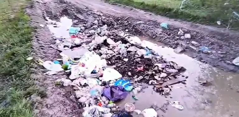 VIDEO Toleranță zero pentru poluare în Șura Mare: Un cetățean a primit amendă maximă și a fost obligat să curețe zona după ce a aruncat deșeuri ilegal!