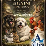 Expoziția Canină Multirasă „CRISTIAN – SIBIU SHOW” are loc în 2–3 mai 2026, la Castrul Roman Cristian