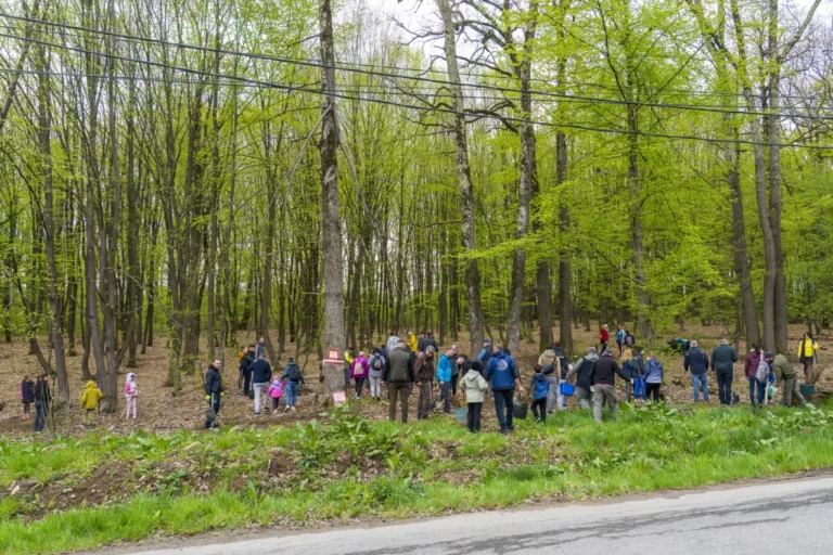 1.300 de puieți plantați în Pădurea Cisnădie, la ediția 2026 a „SCHWARZ Plantează”