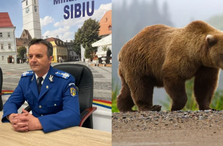 Dronele, noua prioritate pentru Jandarmeria Sibiu în misiunile de căutare și monitorizarea urșilor! VIDEO