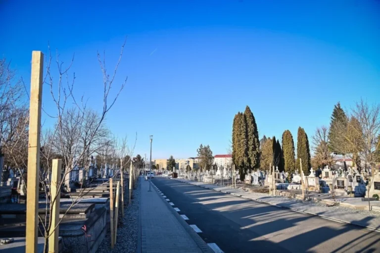 Investiție de peste 1 milion de lei la Cimitirul Municipal Sibiu, în zona mormintelor persoanelor decedate în pandemie!